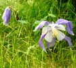 photo thumbnail #1