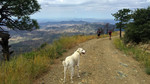 photo thumbnail #5