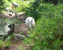 photo thumbnail #13