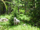 photo thumbnail #12