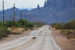 photo thumbnail #2