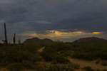 photo thumbnail #7