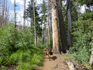 photo thumbnail #1