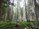 photo thumbnail #2