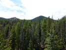 photo thumbnail #8