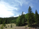photo thumbnail #9
