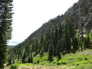 photo thumbnail #12