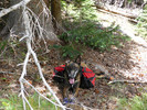 photo thumbnail #13