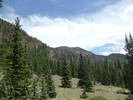 photo thumbnail #14