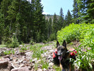 photo thumbnail #15