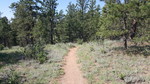 photo thumbnail #8