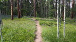 photo thumbnail #6