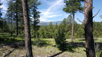 photo thumbnail #11