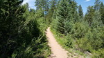 photo thumbnail #12
