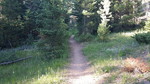 photo thumbnail #13