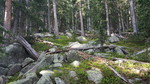 photo thumbnail #2