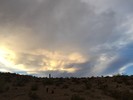 photo thumbnail #10