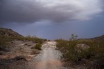 photo thumbnail #2