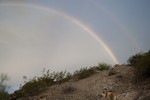 photo thumbnail #6