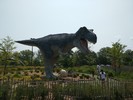 photo thumbnail #7