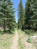 photo thumbnail #2
