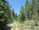 photo thumbnail #5