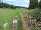 photo thumbnail #11
