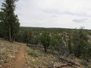 photo thumbnail #11