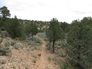 photo thumbnail #14