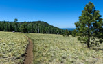 photo thumbnail #8