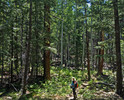 photo thumbnail #15