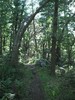 photo thumbnail #3