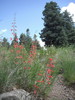 photo thumbnail #9