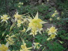 photo thumbnail #15