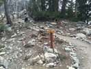 photo thumbnail #14