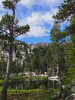 photo thumbnail #10