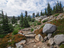 photo thumbnail #11