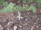 photo thumbnail #7