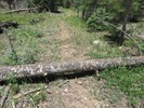 photo thumbnail #4