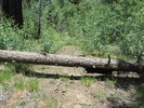 photo thumbnail #5