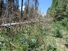 photo thumbnail #7