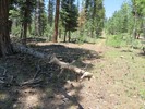 photo thumbnail #8