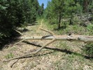 photo thumbnail #9