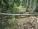 photo thumbnail #11