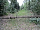 photo thumbnail #12