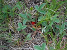 photo thumbnail #9