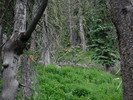 photo thumbnail #14