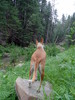 photo thumbnail #2