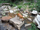 photo thumbnail #4