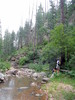 photo thumbnail #5